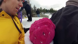 Kid sleds and gets a face full of snow