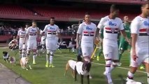 Les joueurs de Sao Paulo rentrent sur la pelouse de Palmeiras avec des chiens pour soutenir l'adoption