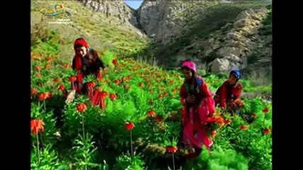 Occo Mahabad-li cihê ku ez hatim-helbest