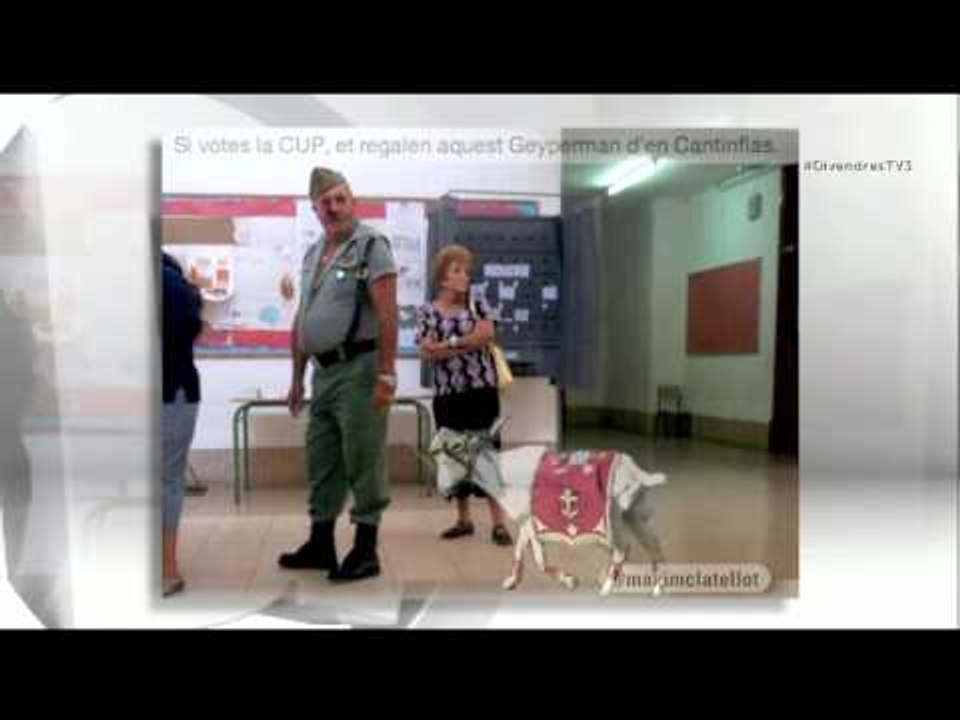 TV3 - Divendres - Els mems de la nit electoral