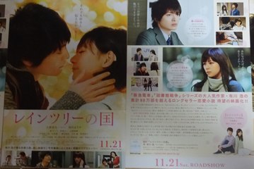 レインツリーの国 (B) (2015) 映画チラシ 玉森裕太 雨樹之國
