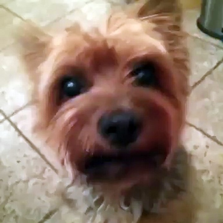 Kisses for breakfast