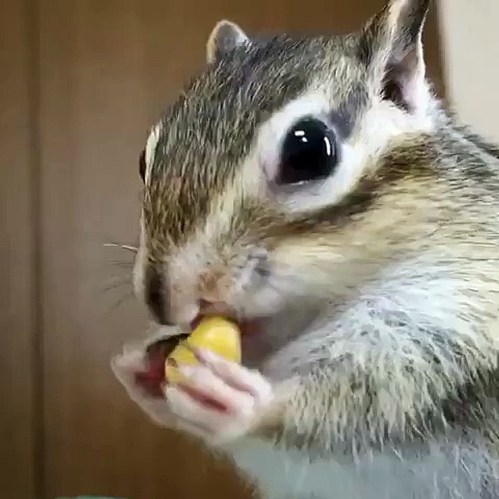 Oops,a camera is in this way!