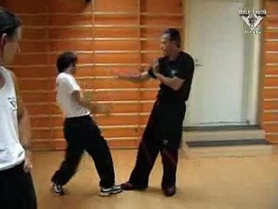 Wing Tsung - Chi-sao training 2