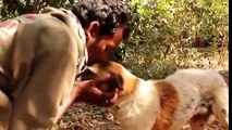 Kindness of People towards Animals - A Must watch video