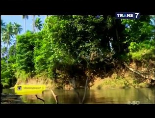Bocah Petualang - Anak Bacan Amasing Kali