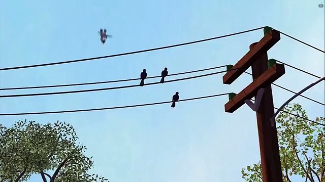 i am Not Aiming For The Truck