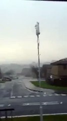 Tramampoline! hahahahaha