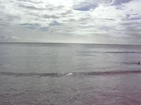 plage des salines martinique 2006