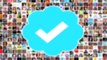 How To Verify Your Page on Twitter New Verification Steps