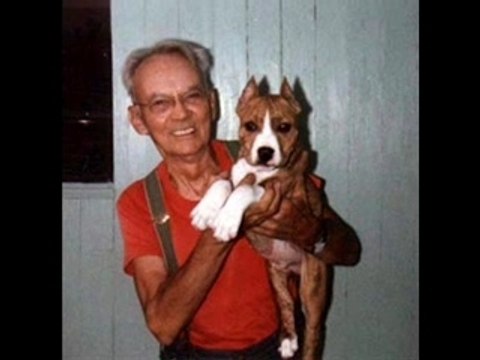 Défense molosses et chiens dangereux