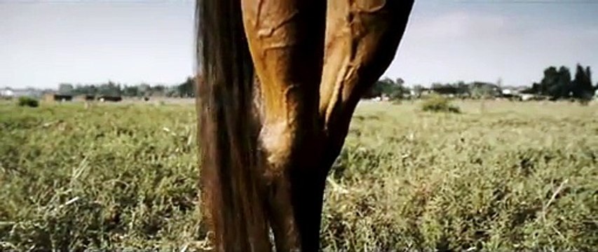 La femme qui aimait les hommes