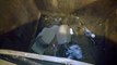 Un homme sauve un raton laveur coincé dans une poubelle