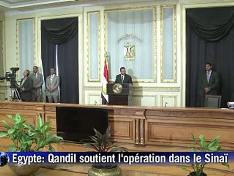 Egypte: l'armée revendique un succès contre les terroristes au Sinaï