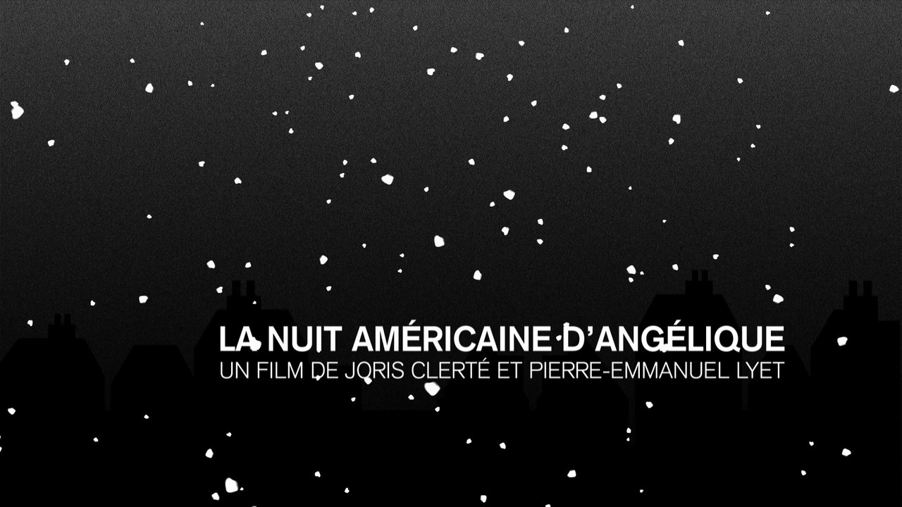 La nuit américaine d'Angélique