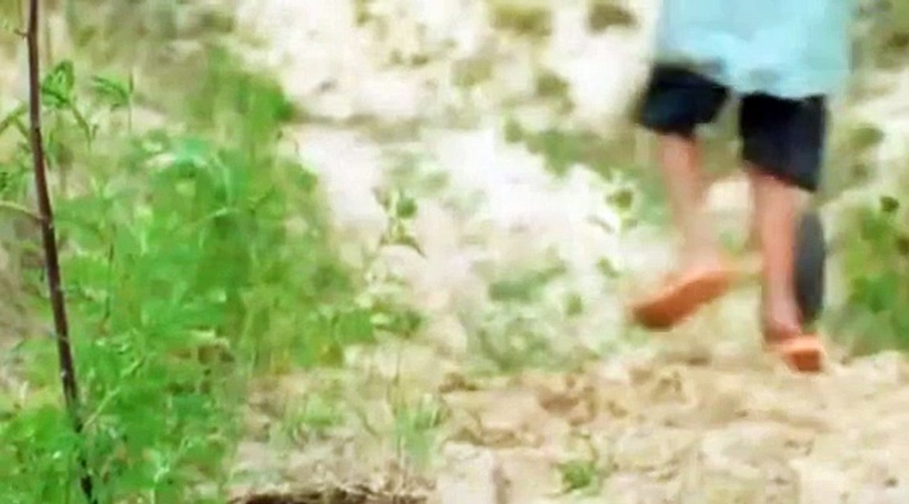A voir : "Just the Wind"
