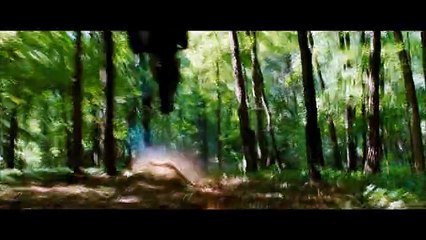 The Place Beyond The Pines