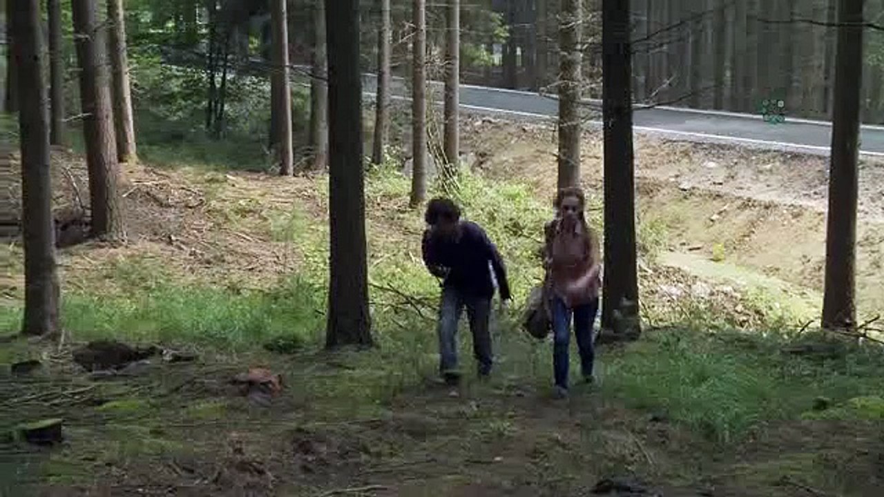 La tête la première