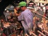 Le Cambodge se bat contre un retour de la grippe aviaire