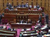 Le mariage homosexuel franchit l'obstacle du Sénat plus facilement que prévu