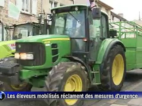 Agriculture: plus de 15.000 éleveurs dans la rue pour des mesures d'urgence
