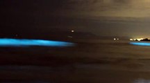 Une étonnante marée bleu fluo en Californie