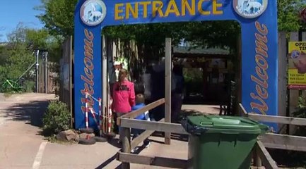 Une femme de 24 ans tuée par un tigre