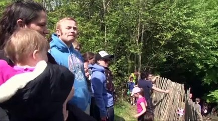 Un fromage lancé à 100 km/h