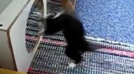 Miroir, mon beau miroir, qui est ce monstre?