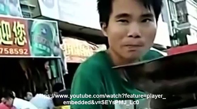 Temps de chien pour les chiens en Chine