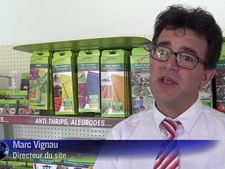 Dans la Drôme, une fabrique géante d'insectes utiles