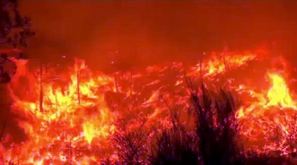 Portugal : 29 pyromanes présumés interpellés