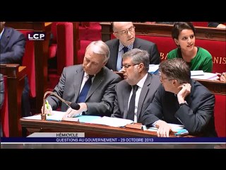 Ayrault tacle l'opposition sur l'écotaxe à l'Assemblée nationale