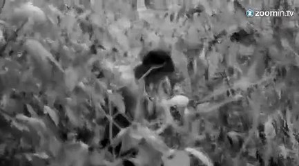 Cindy Crawford fait tomber la chemise...