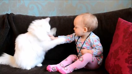 WHEN CATS & BABIES COLLIDE