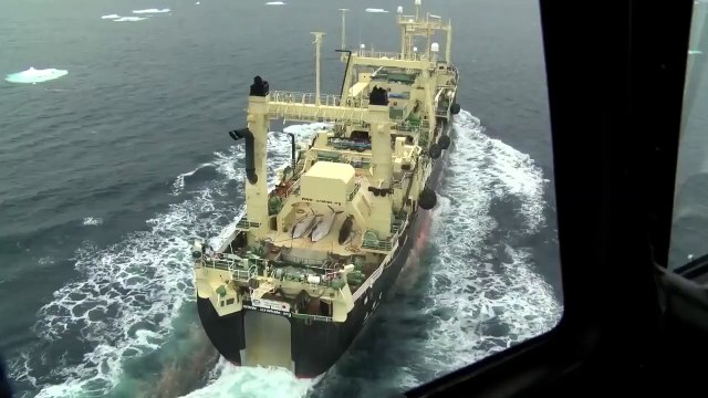 Sea Shepher filme des pêcheurs de baleines japonais