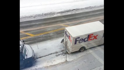 Un dindon attaque un livreur