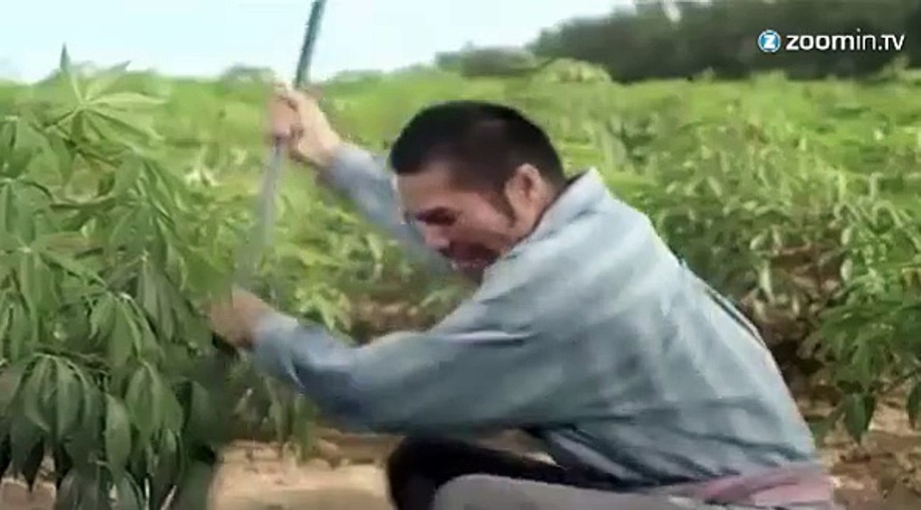 Une pub amusante et sexy pour un fertilisant