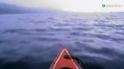 Une magnifique nuée d'oiseaux...