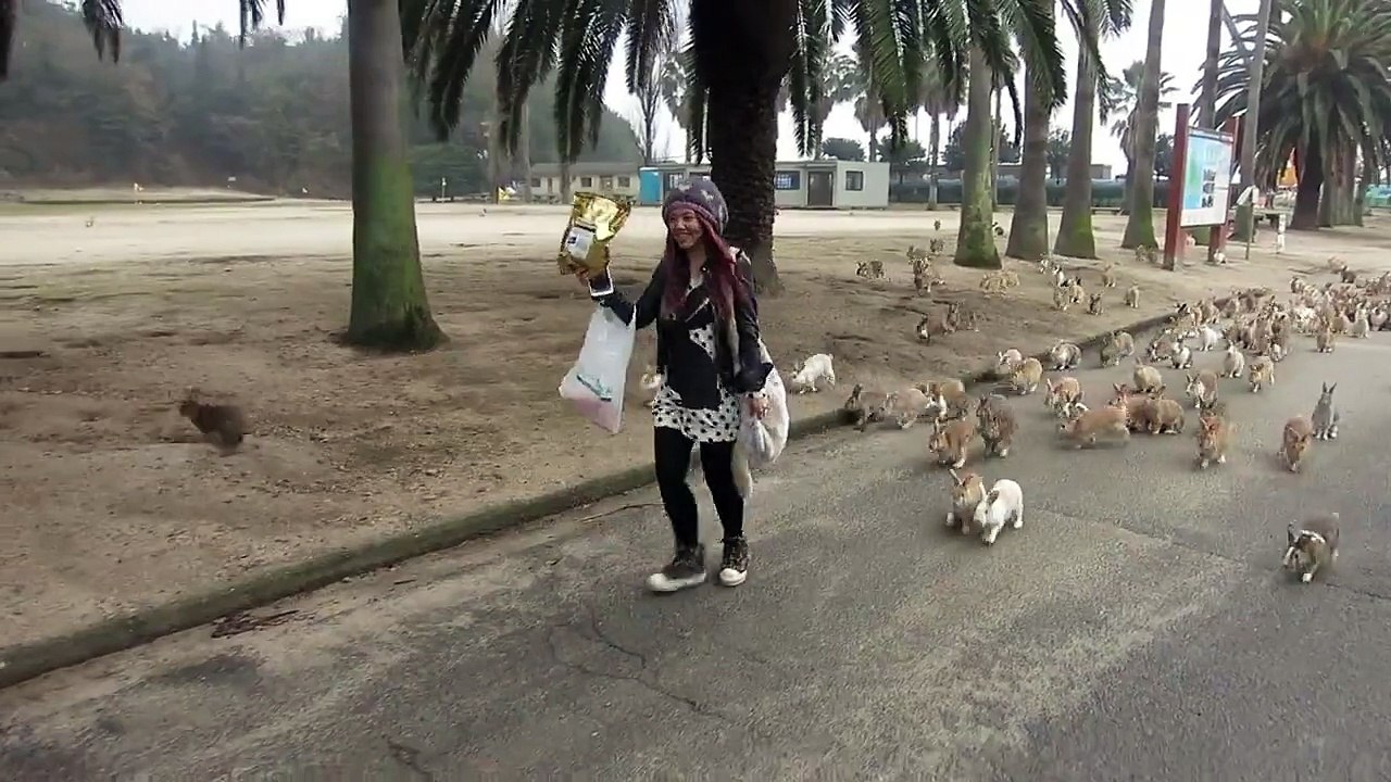 Elle se fait "attaquer" par des lapins