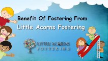 Benefit Of Fostering From Little Acorns Fostering