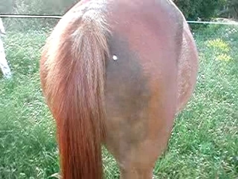 hum, rond bizzare sur la fesse !! ^^