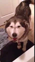 Mag Ma | Emma says "I don't wanna take a bath!"