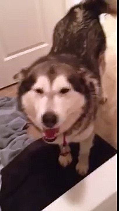 Mag Ma | Emma says "I don't wanna take a bath!"