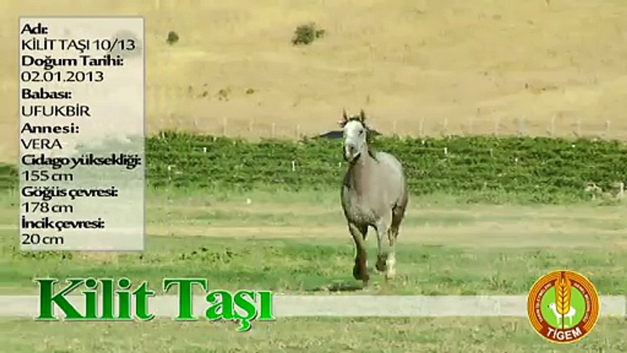 KİLİT TAŞI