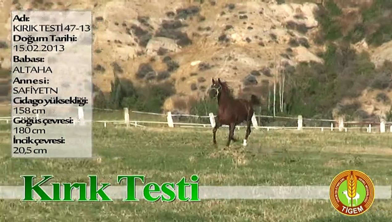 KIRIK TESTİ