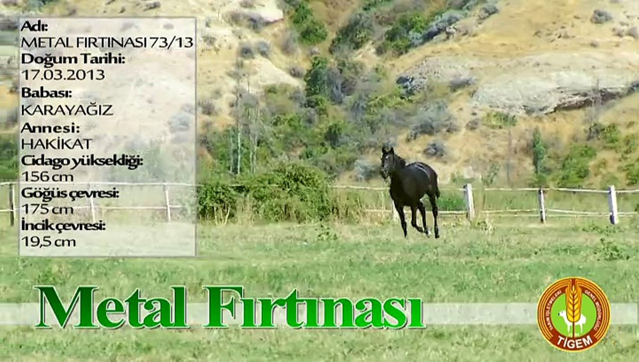 METAL FIRTINASI