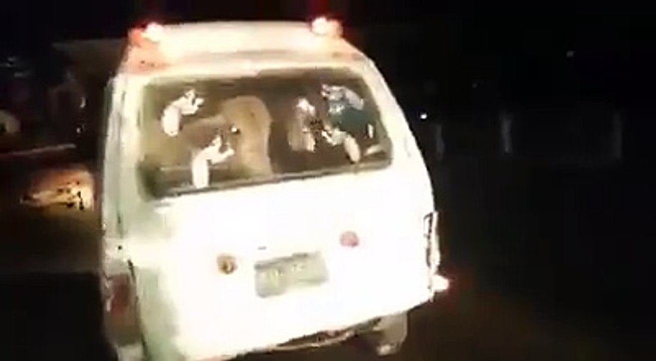 Bull Inside HighRoof must watch n share