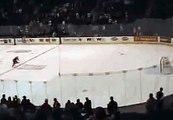 Amazing NHL goal (hahahaha)