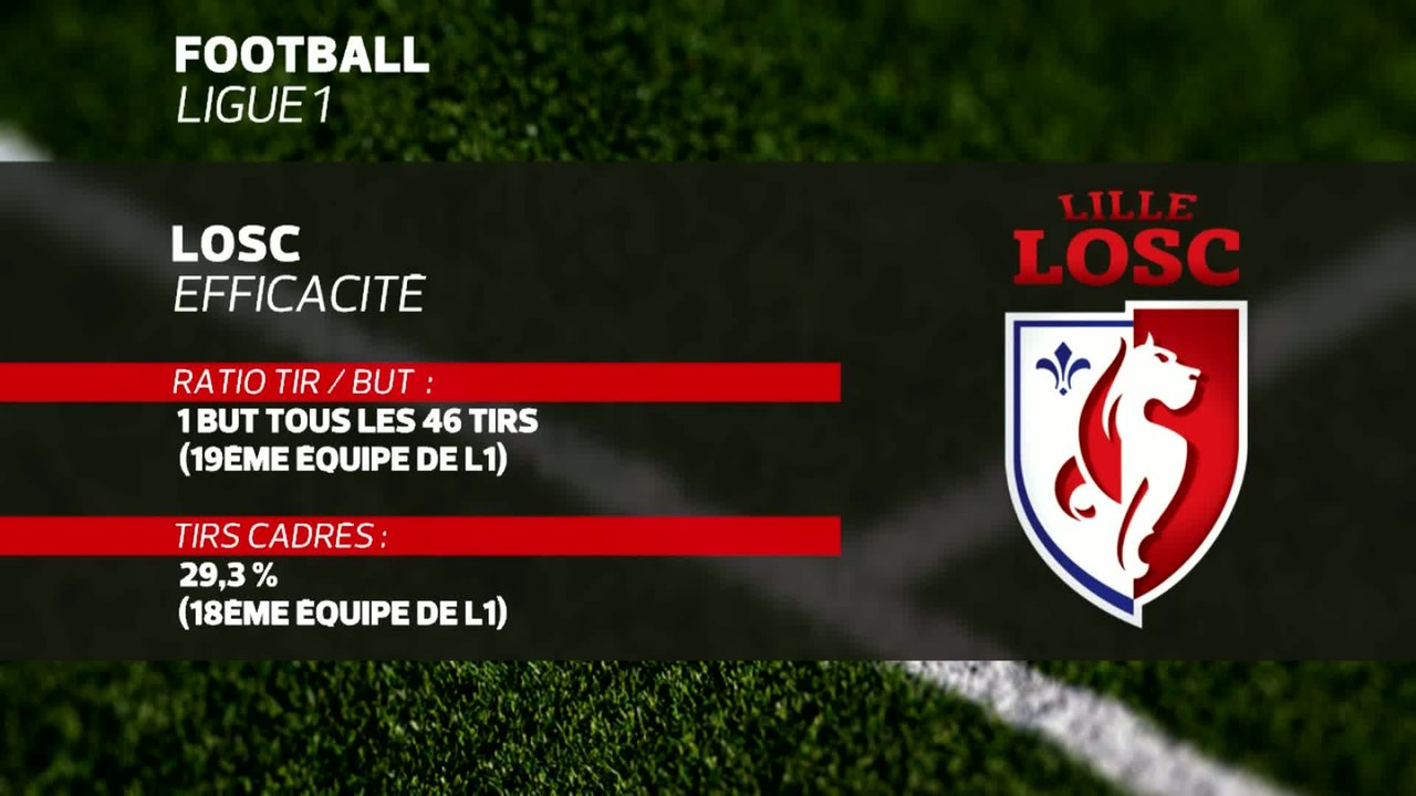 Foot - L1 - LOSC : Des Dogues enfin d'attaque ?